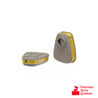 Cartouches 3M 6003 – Vapeurs organiques et gaz acides